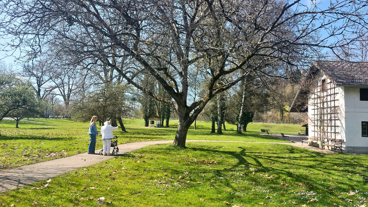 Zwei Personen unter einem Baum im Park, während sie sich unterhalten und die Sonne scheint.