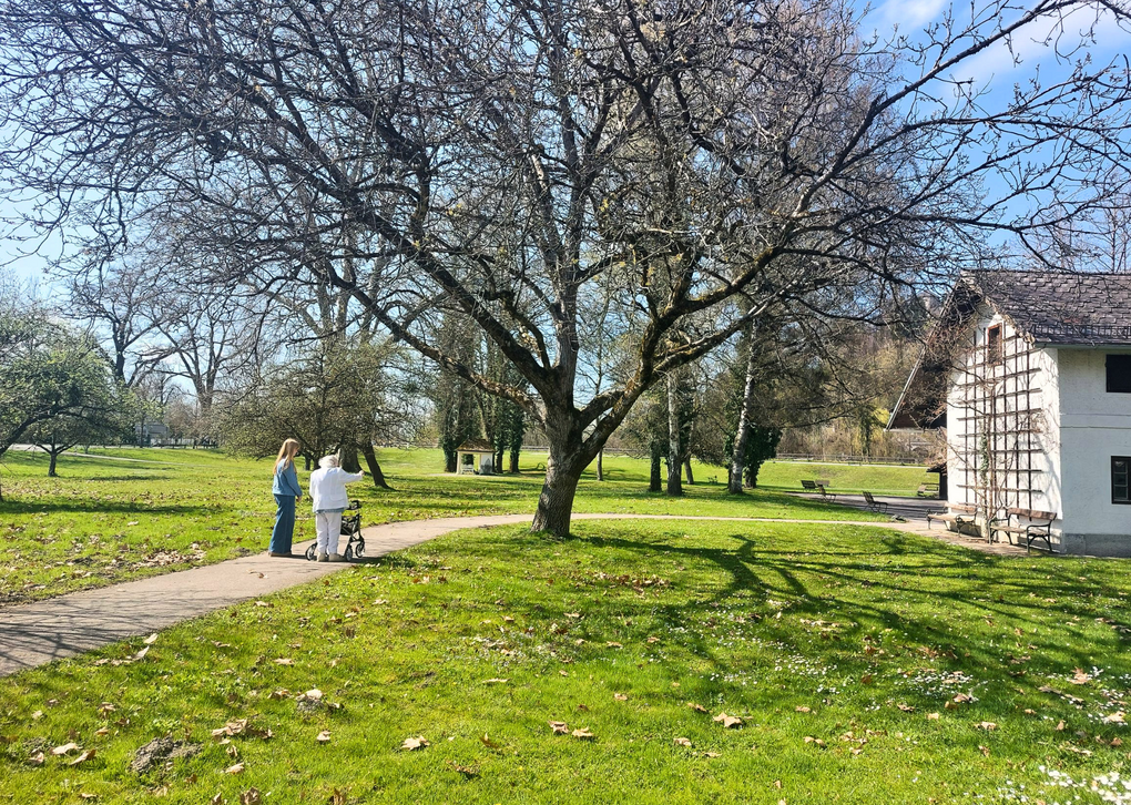 Zwei Personen unter einem Baum im Park, während sie sich unterhalten und die Sonne scheint.